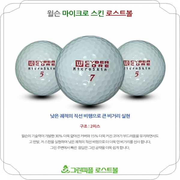 그린피플,윌슨 마이크로스킨 2피스 A-급 로스트볼 16개