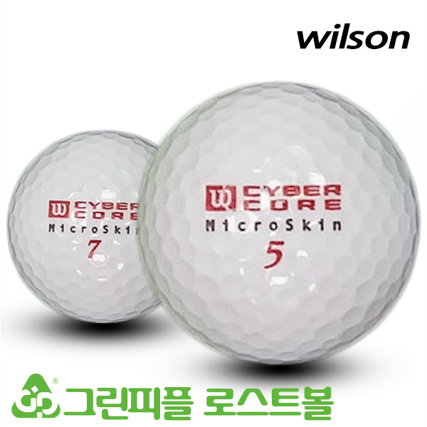 그린피플,윌슨 마이크로스킨 2피스 A급 로스트볼 16개