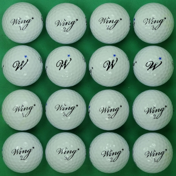 그린피플,윙 컨트롤 스타 2피스 A급 로스트볼 16개