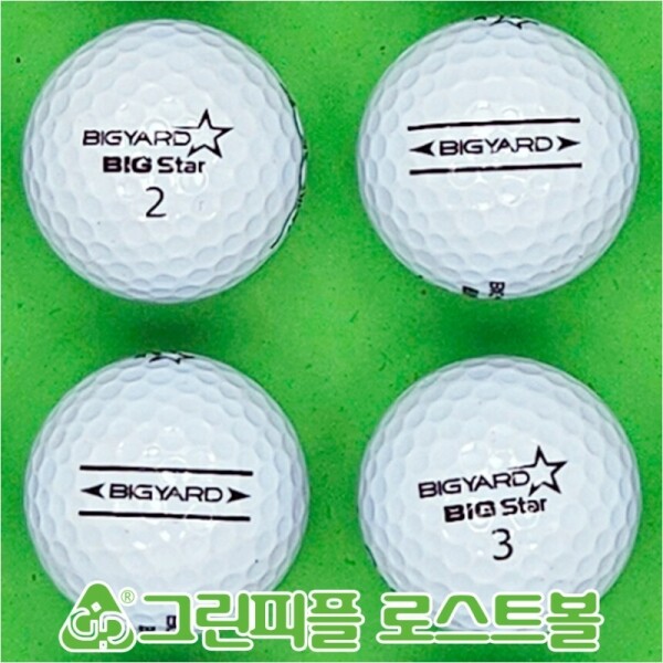 그린피플,빅야드 빅스타 화이트 2피스 A+급 로스트볼 16개
