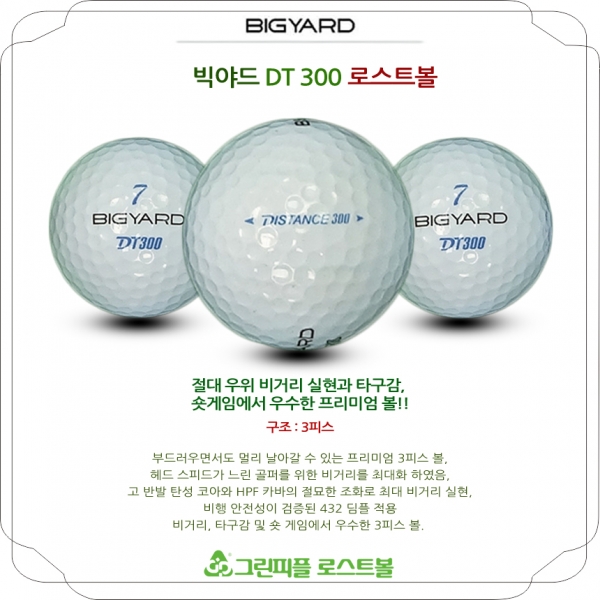 그린피플,빅야드 DT 300 3피스 A-급 로스트볼 16개