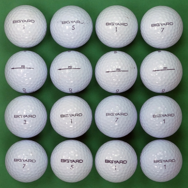 그린피플,빅야드 뉴 PD 2피스 B+급 로스트볼 16개